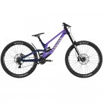 2024 Canyon Sender CFR 29 LTD Mountain Bike