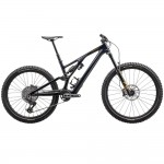 2024 Specialized Stumpjumper EVO Expert T-Type Mountain Bike