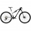 2025 Canyon Lux World Cup CF 7 Mountain Bike