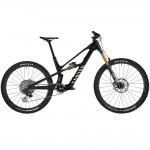 2025 Canyon Spectral:ONfly CF LTD Mountain Bike